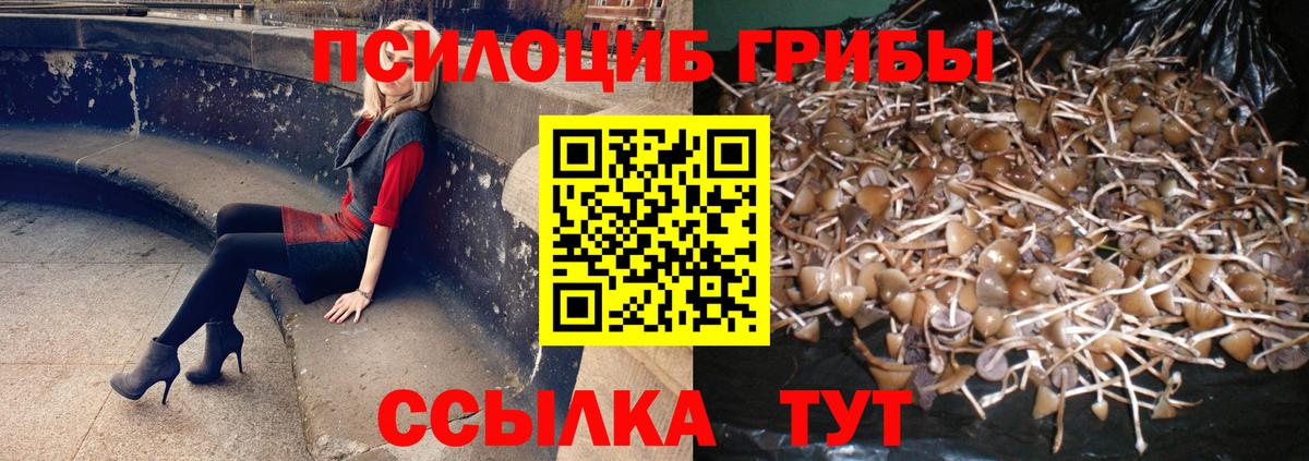 Псилоцибиновые грибы Cubensis  Вход с VPN  Новочебоксарск  Галлюциногенные грибы Cubensis 